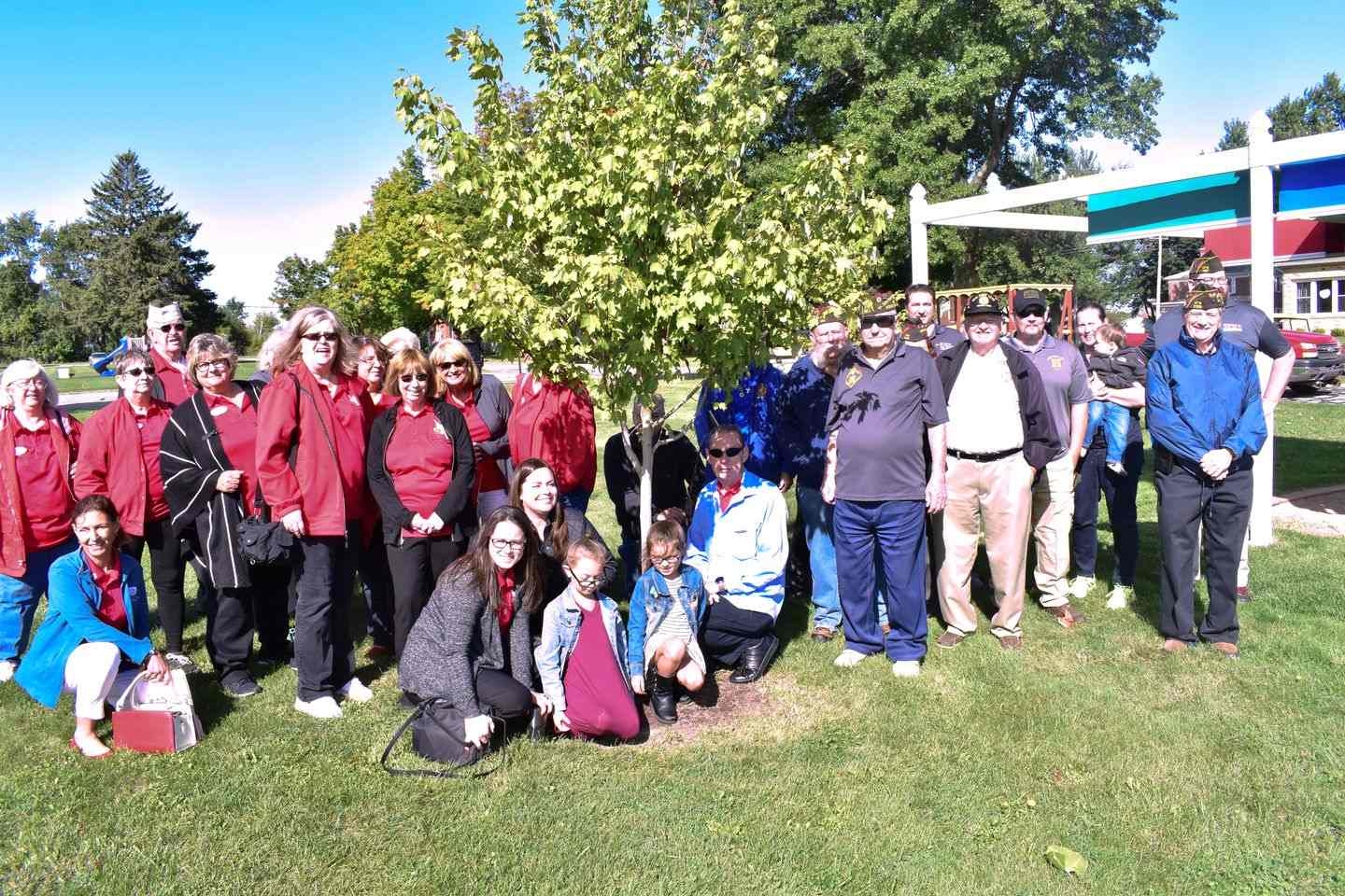 VFW Dept of Illinois